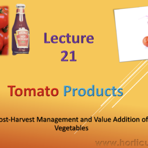 Tomato Products PPT